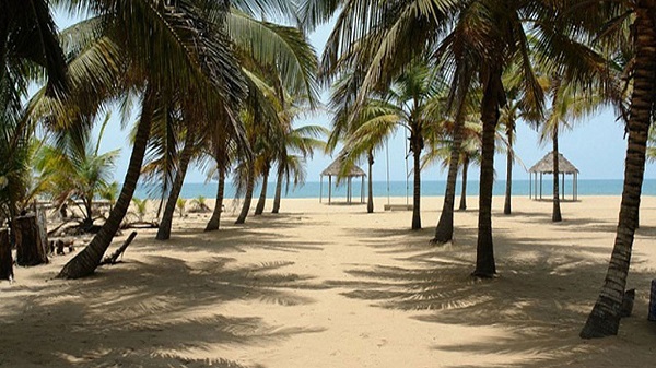 coconut beach