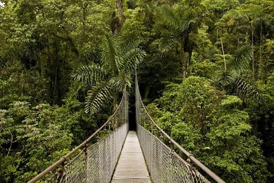 lekki conservation center