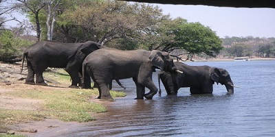 cross river national park