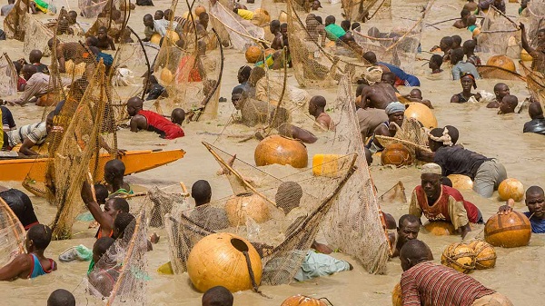 argungu fishing festival