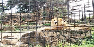 jos wildlife park