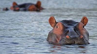 Kainji Lake National Park