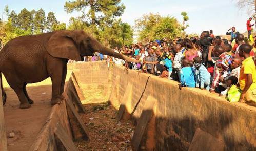 jos wildlife park