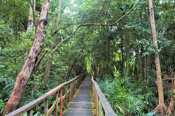 lekki conservation center